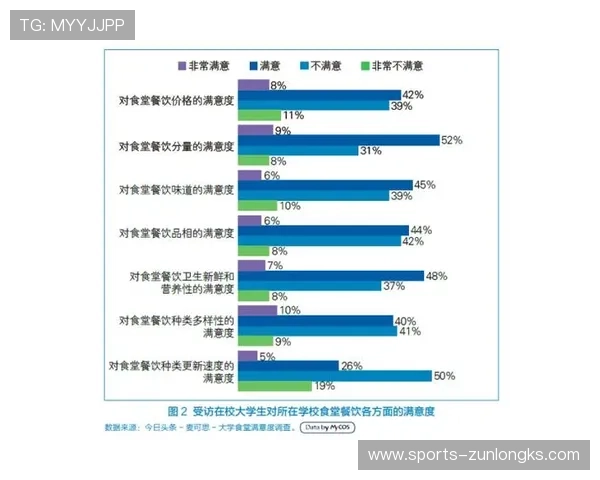 尊龙手机官网用户体验优化措施与客户满意度提升方案