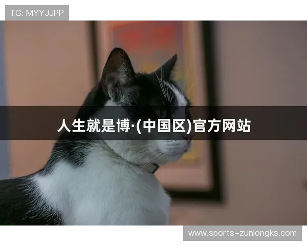 探索尊龙凯时中的认识与博弈，提升人生智慧与能力